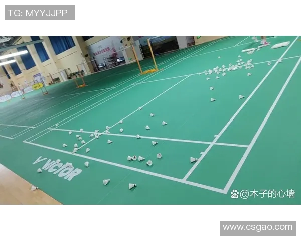 羽毛球的魅力与挑战:探寻北京羽毛球队的训练与比赛节奏 羽毛球的魅力与挑战:探寻北京羽毛球队的训练与比赛节奏