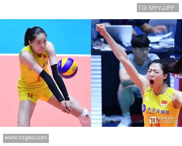 杭州排球队个人能力引发热议球员表现与团队配合的深度探讨