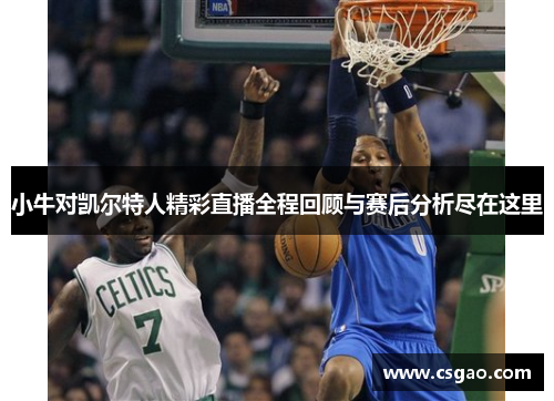 小牛对凯尔特人精彩直播全程回顾与赛后分析尽在这里