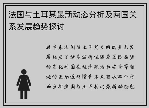 法国与土耳其最新动态分析及两国关系发展趋势探讨